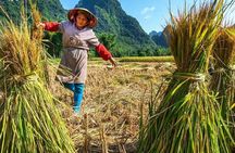 Mai Chau Walking & Cycling Day Tour