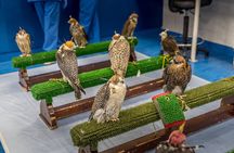 Falcon Hospital Tour with Hotel Pick up & Drop off 