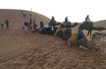 Enjoy camp 1 night .Camel.sunset sunrise drums Quad Sunboard 