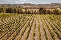 Semi-Private Tour: Swan Valley Premium Wine Lovers Experience