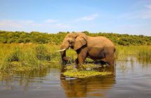 Murchison Falls Nature Safari 