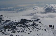 Mt Kilimanjaro Trek, 6 Days - Umbwe Route 