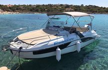 Private Customised Boat Tour With Speed Boat