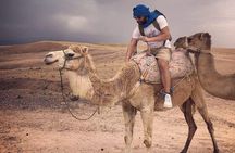 buggy,Camel Ride & dinner show in Agafay desert
