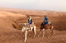 buggy,Camel Ride & dinner show in Agafay desert