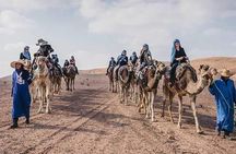 Marrakech Desert : Quad Biking, Camel Ride, Dinner Show 