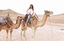 Marrakech Desert : Quad Biking, Camel Ride, Dinner Show 