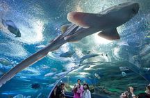Admission Ticket to Underwater World Pattaya with Return Transfer