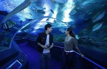 Admission Ticket to Underwater World Pattaya with Return Transfer