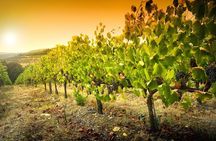Radda in Chianti: Wine Tasting Tour with lunch at the Winery