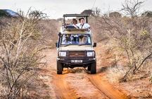2 Days Tsavo east Jeep Safari (minimum 2 persons)