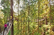 Vancouver City Tour With Stanley, Grouse Mountain & Capillano Suspension Private