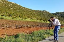 Private Mycenae, Anc Nemea & Nemean Winery Experience from Athens