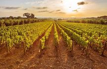 Private Mycenae, Anc Nemea & Nemean Winery Experience from Athens
