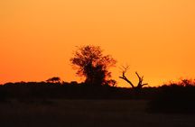 4 Days 3 Nights Savuti Mobile Camping Safari
