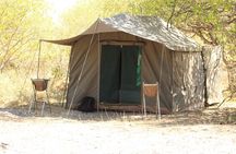 4 Days 3 Nights Savuti Mobile Camping Safari