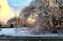 Private Niagara Ice Wine Tour