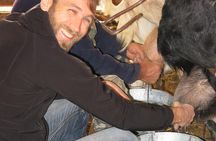 Troodos Mountains Halloumi Making: All Inclusive Workshop & Tour