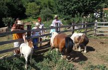 Cook like a local Greek Cooking lesson in Mt Pelion Greece