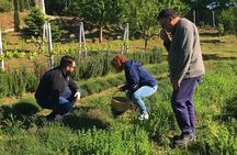 Cook like a local Greek Cooking lesson in Mt Pelion Greece