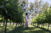 Winery Carrau Visit and Tasting