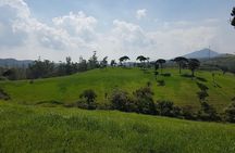 Day Tour of Nuwara Eliya