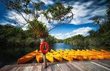 Tulum Ruins and 3 Cenotes - Jungle Adventure
