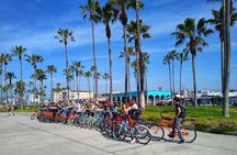 Venice Vibrations Public Bike Tour Experience