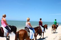 Private Beach Horseback Riding from Ocho Rios