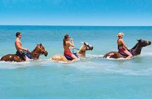 Private Beach Horseback Riding from Ocho Rios