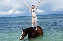 Private Beach Horseback Riding from Ocho Rios