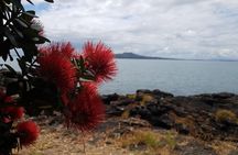 Auckland Bush, Beach and Bites Trail