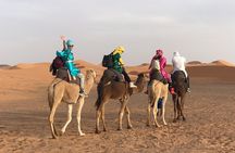 Luxury Private 4-Day Camel Trekking and Kasbah Trail from Marrakech