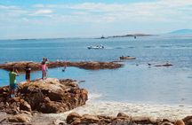 Essence of Victoria: Private Tour of Nature, History & Coast
