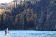 Full-Day Upper Kenai River Guided Fishing Trip