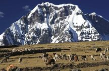 Ausangate Trek 