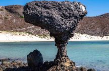 La Paz City Tour from Cabo