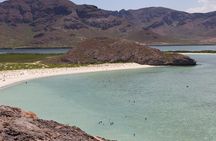 La Paz City Tour from Cabo