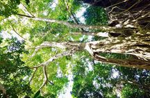 Phu Quoc Private Trekking Tour
