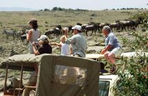 3 Days Maasai Mara safari