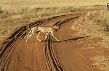 3 Days Maasai Mara safari