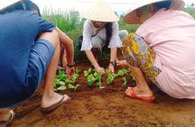 Jeep Tour to Hoi An Countryside with 3 Local Villages & Basket Boat Ride