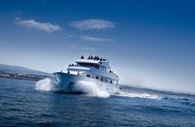 Ocean Flyer | Elite (18+) Cruise