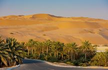 Explore Liwa Full Day Desert Safari