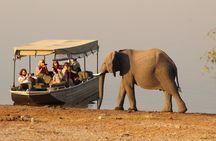 Chobe Full day Safari: Game Drive & Boat Safari with Lunch