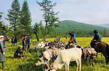 Wonders of Northern Mongolia 15 days