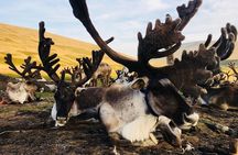 Wonders of Northern Mongolia 15 days