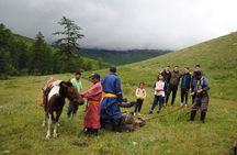 Wonders of Northern Mongolia 15 days