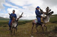 Wonders of Northern Mongolia 15 days