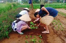 Jeep Tour to Hoi An Countryside with 3 Local Villages & Basket Boat Ride